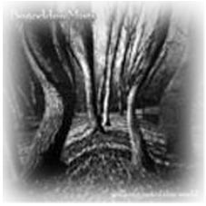 begodden mists - Dark rock